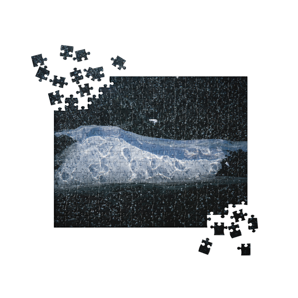 Frozen Lake Puzzle: Walk the Universe Piece by Piece