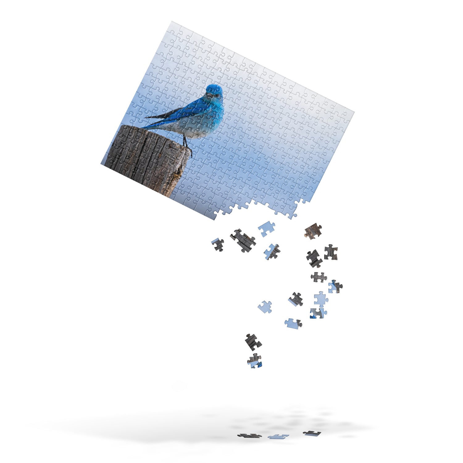 Mountain Bluebird Jigsaw puzzle