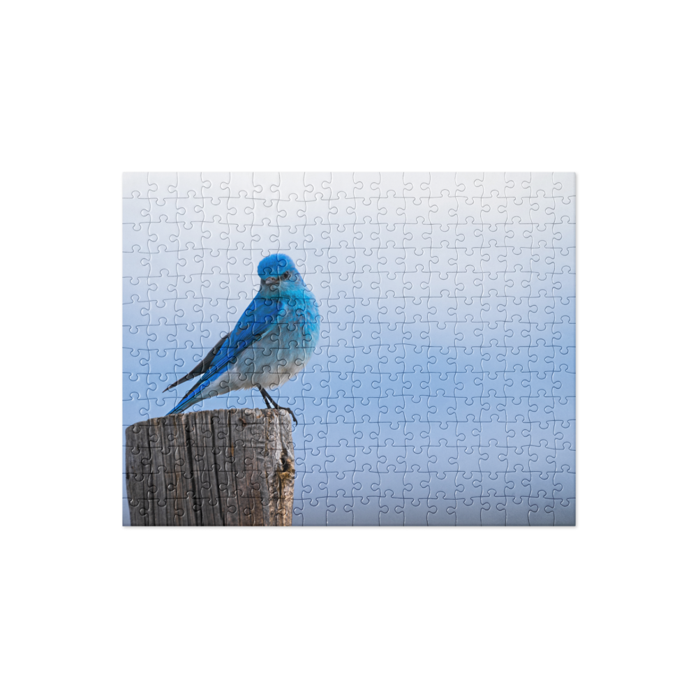 Mountain Bluebird Jigsaw puzzle