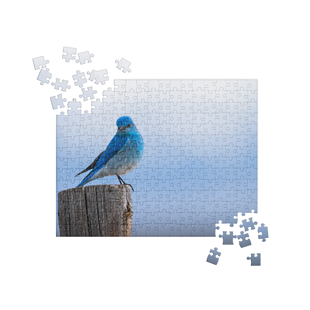 Mountain Bluebird Jigsaw puzzle