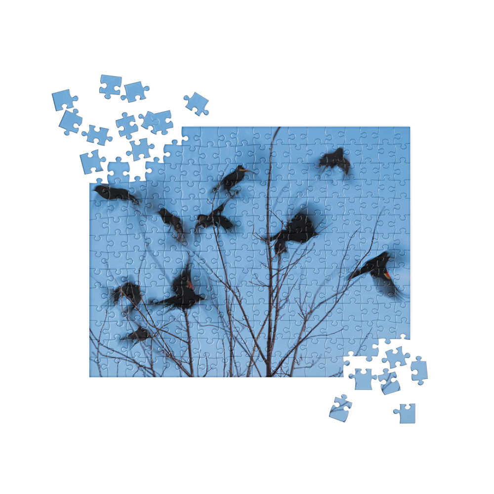 Birds at Fly Jigsaw puzzle