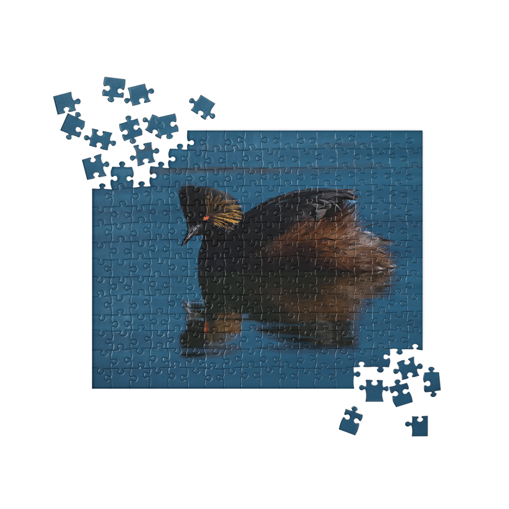 Eered Grebe Jigsaw puzzle