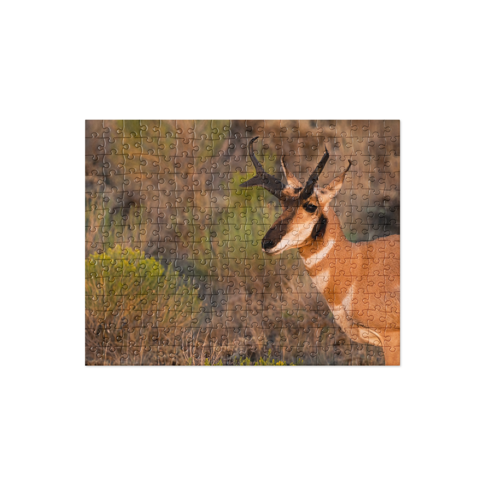 Pronghorn Jigsaw puzzle