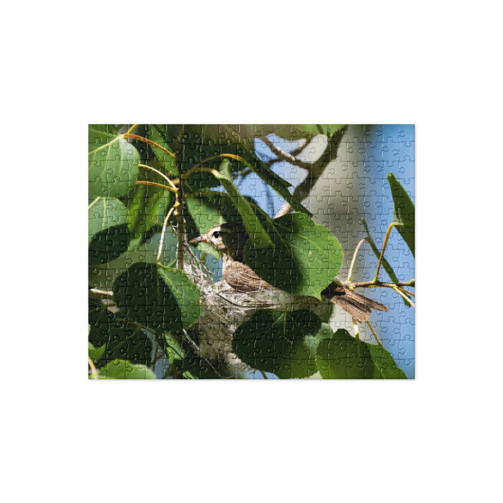 Bird Nest Jigsaw Puzzle