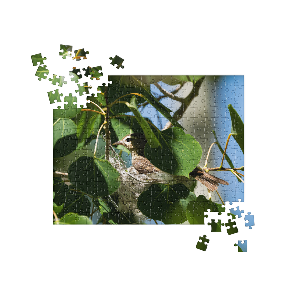 Bird Nest Jigsaw Puzzle