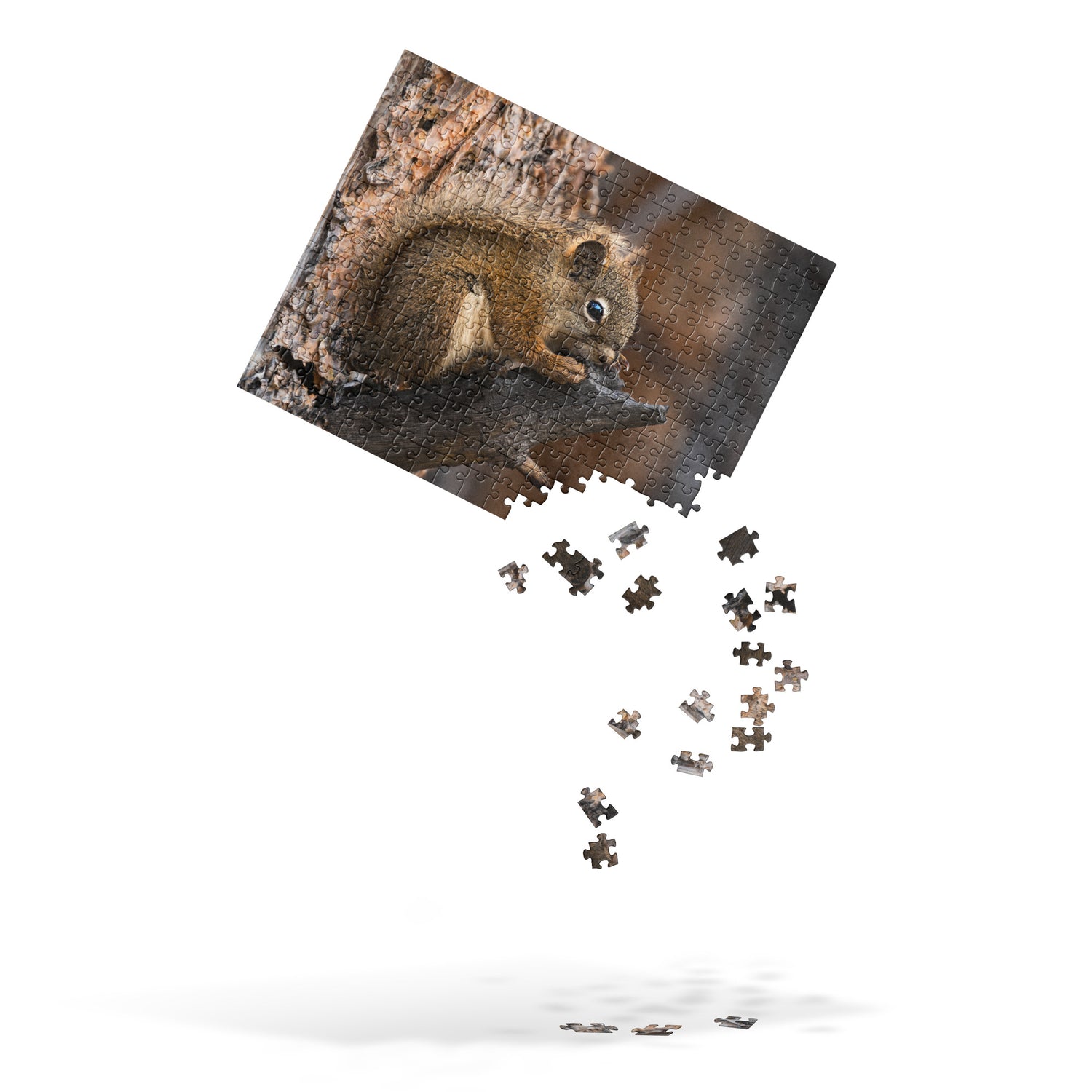 Squirrel Jigsaw puzzle