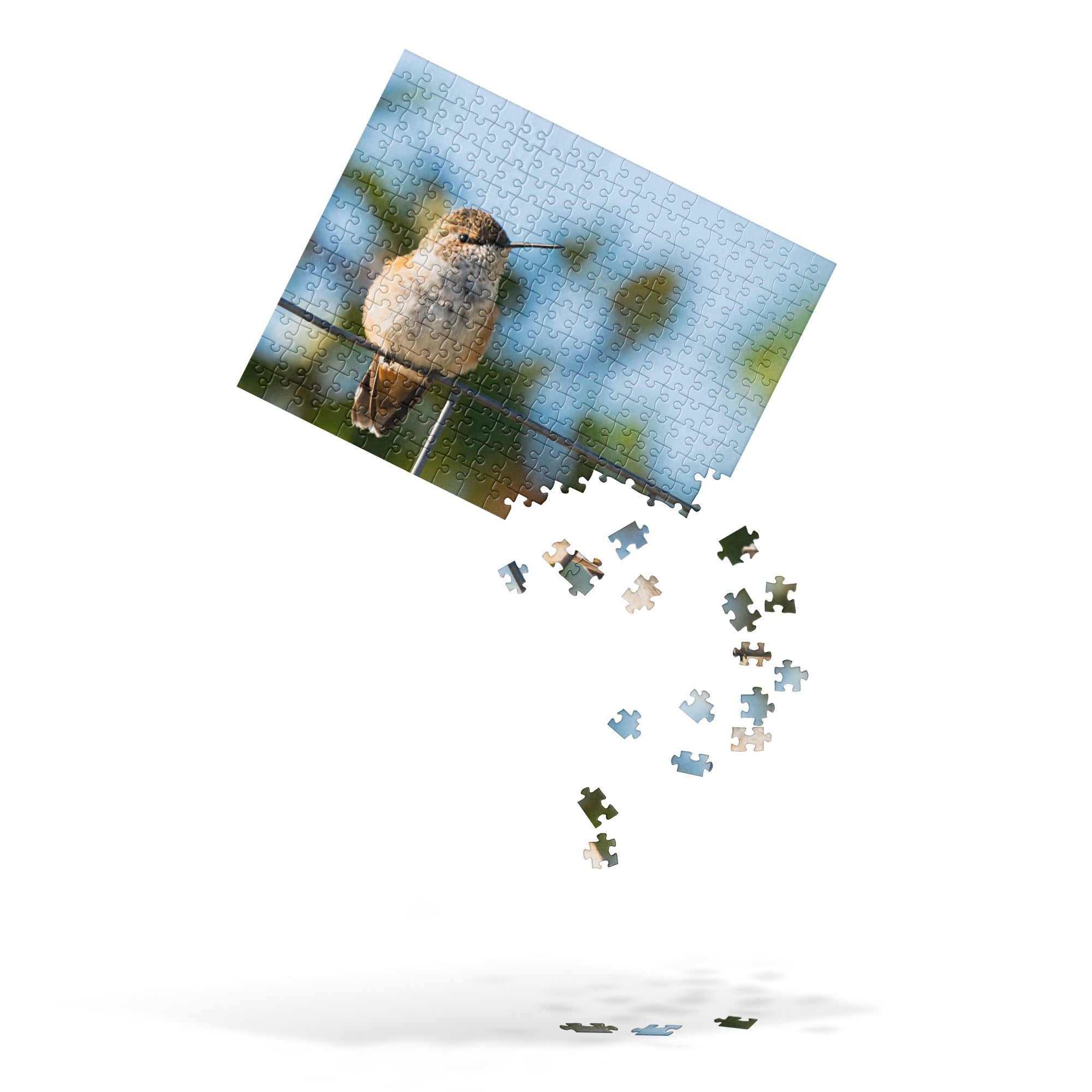 Hummingbird Jigsaw puzzle