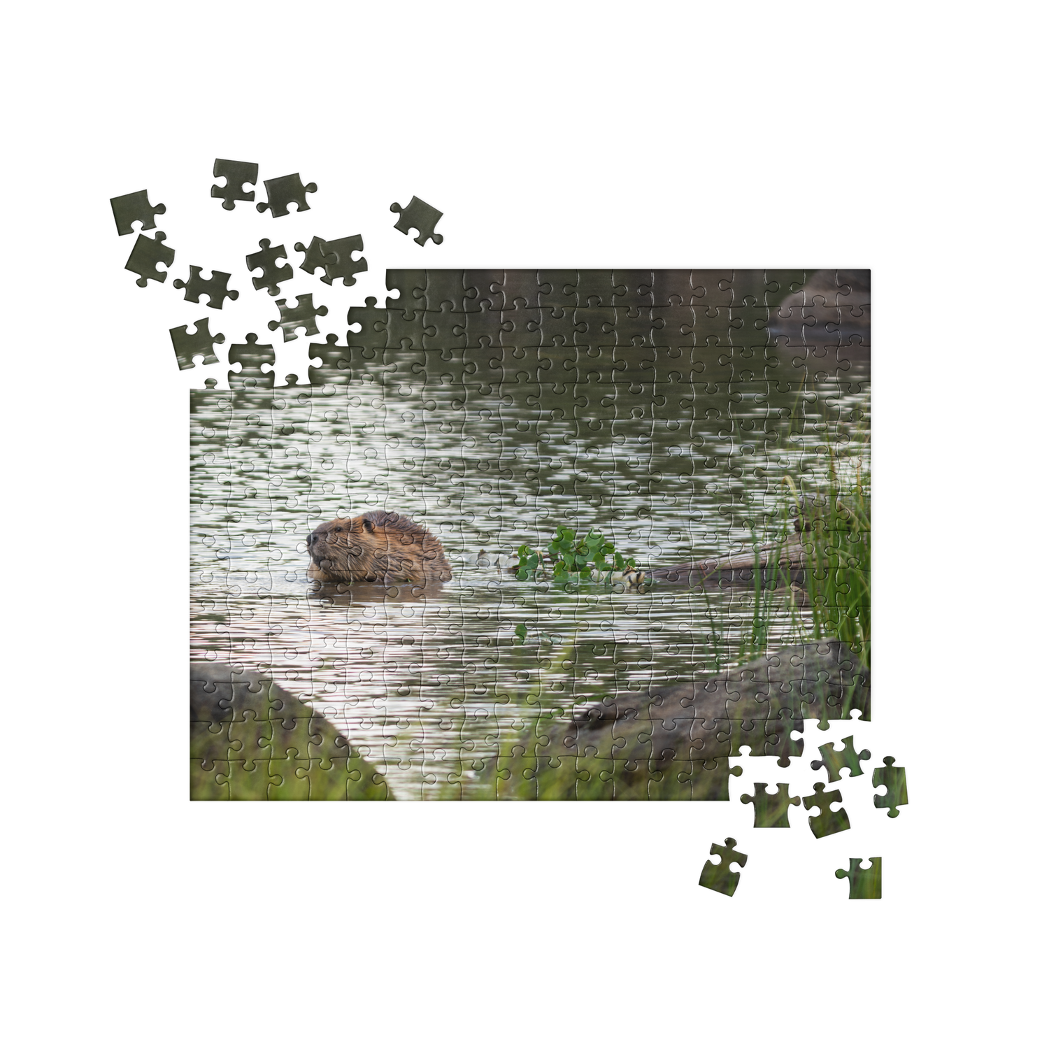 Beaver Jigsaw puzzle