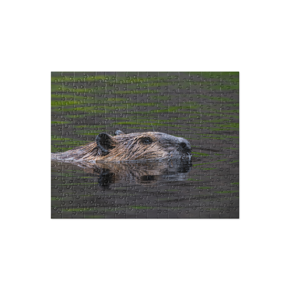 Beaver Close-up Jigsaw puzzle