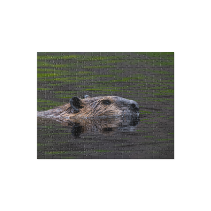 Beaver Close-up Jigsaw puzzle