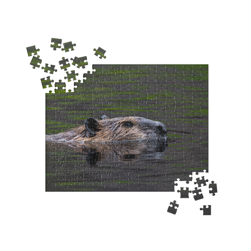 Beaver Close-up Jigsaw puzzle