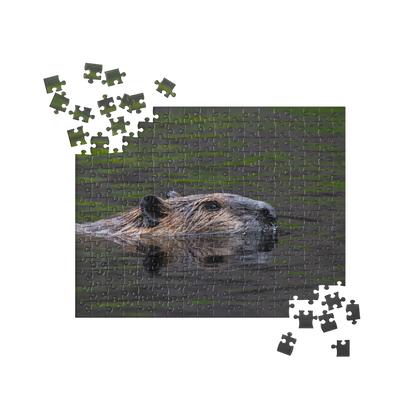 Beaver Close-up Jigsaw puzzle