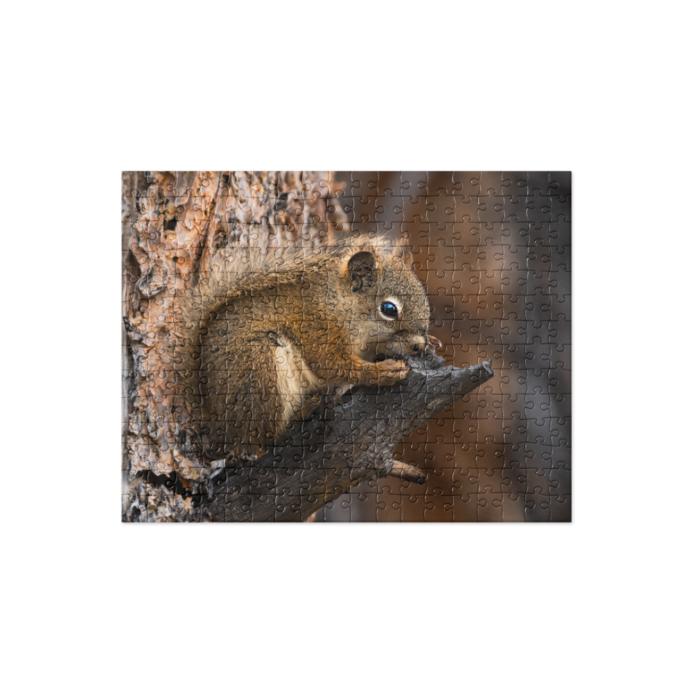 Squirrel Jigsaw puzzle