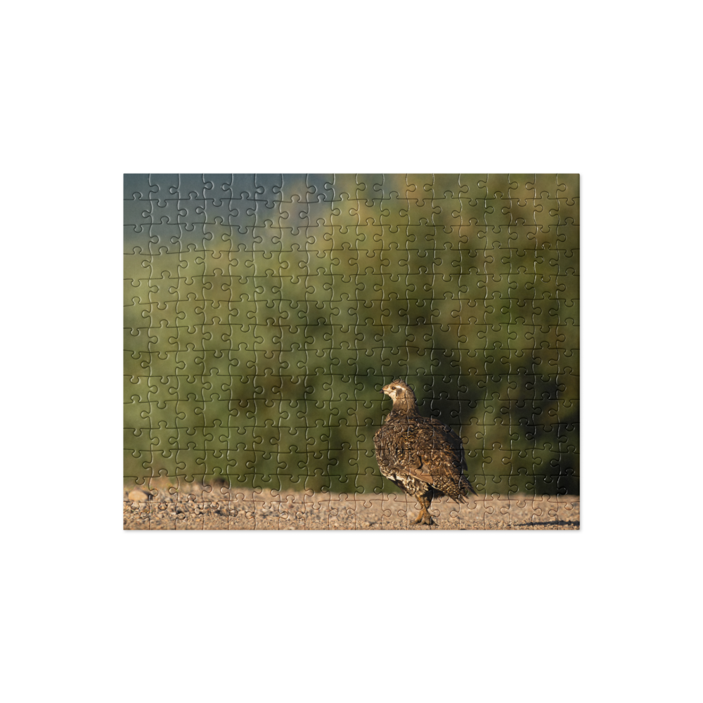 Sage Grouse Jigsaw puzzle