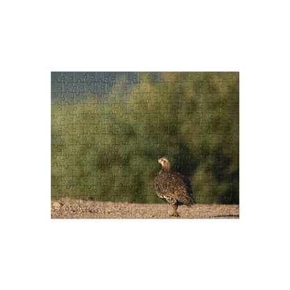 Sage Grouse Jigsaw puzzle