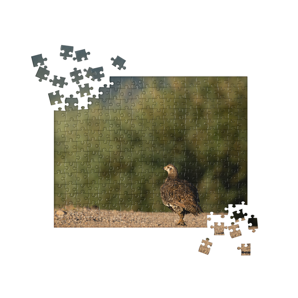 Sage Grouse Jigsaw puzzle
