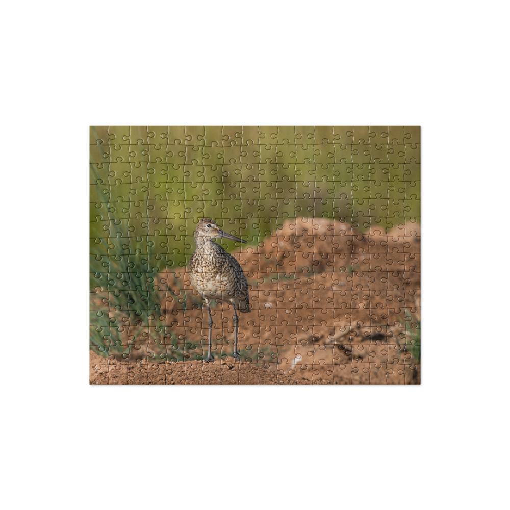 Willet Jigsaw puzzle