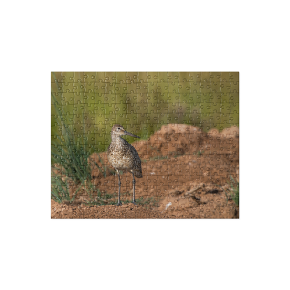 Willet Jigsaw puzzle