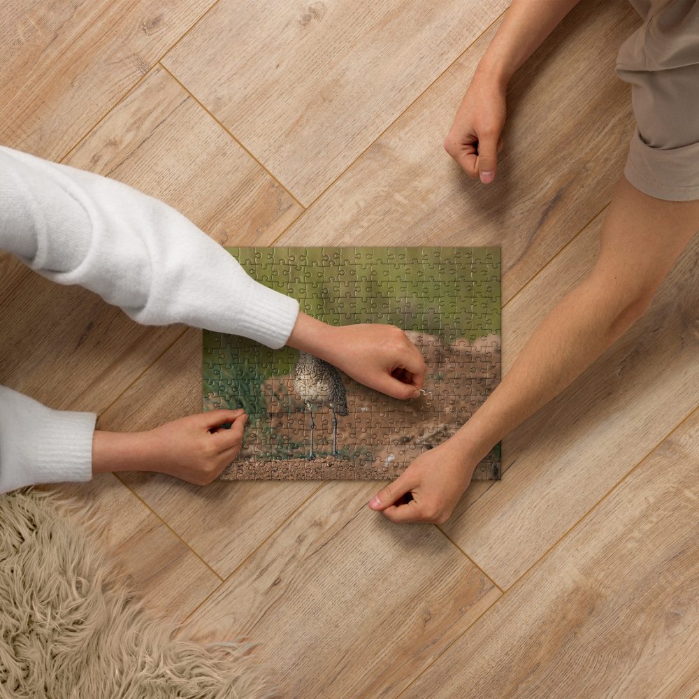 Willet Jigsaw puzzle