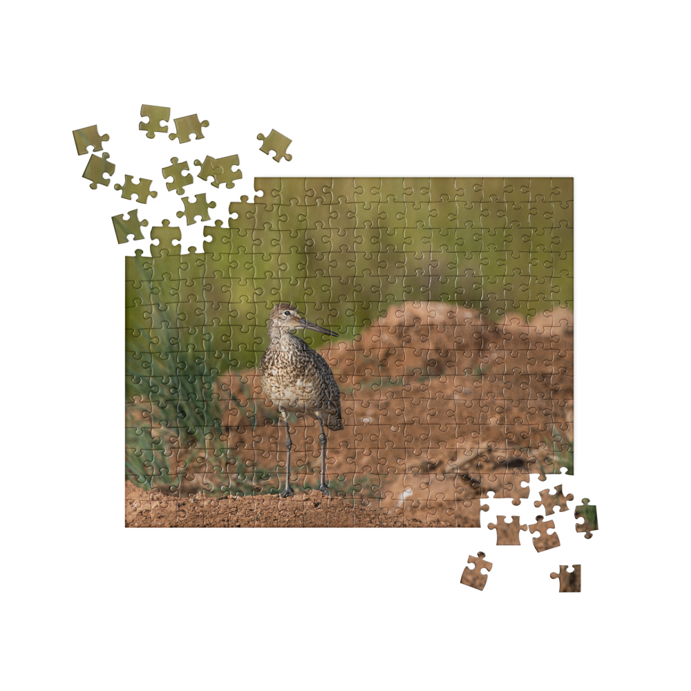 Willet Jigsaw puzzle