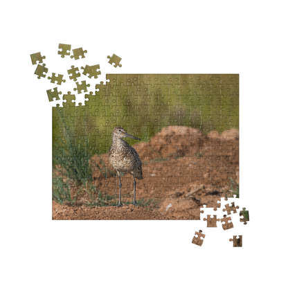 Willet Jigsaw puzzle