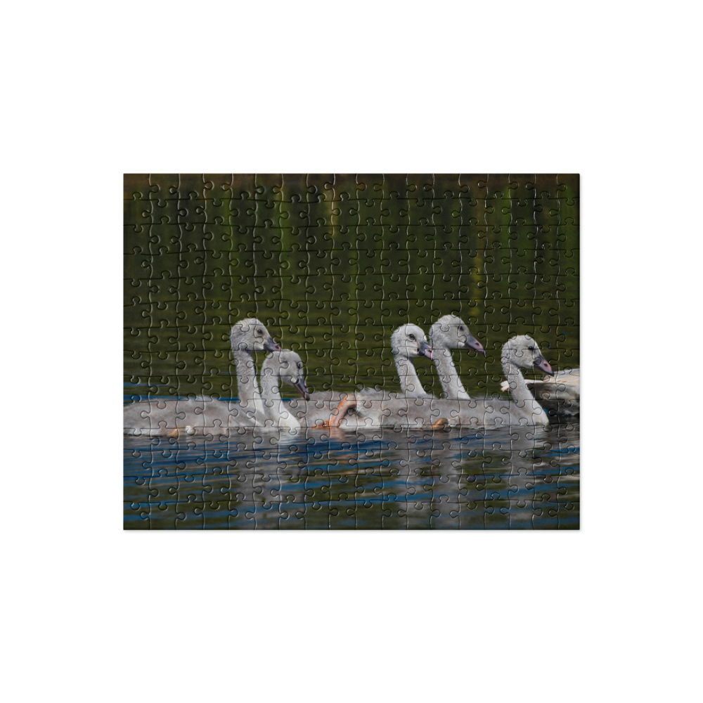 Baby Swans Jigsaw puzzle