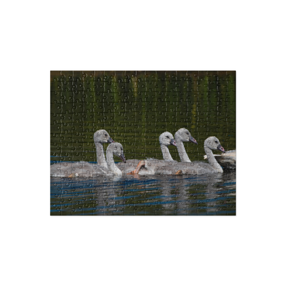 Baby Swans Jigsaw puzzle