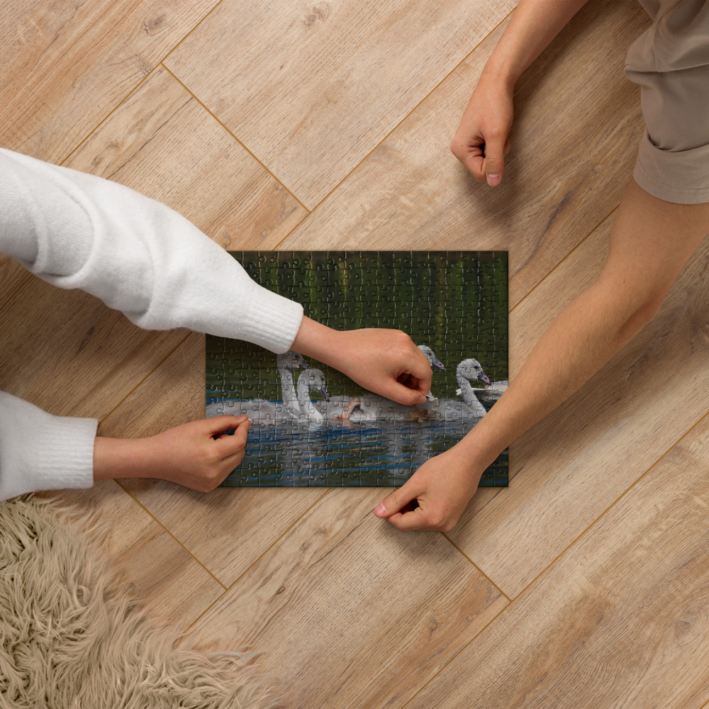 Baby Swans Jigsaw puzzle