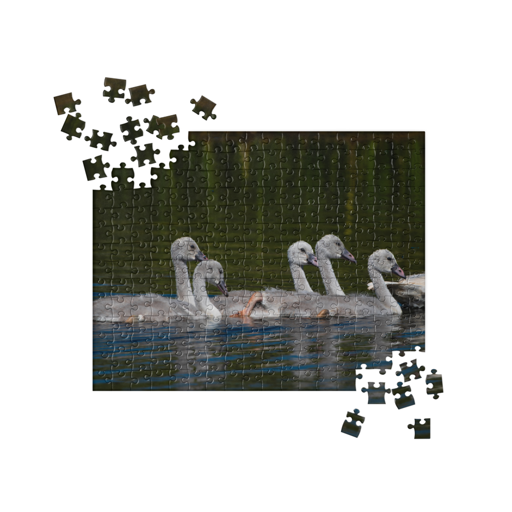 Baby Swans Jigsaw puzzle