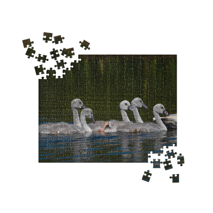 Baby Swans Jigsaw puzzle