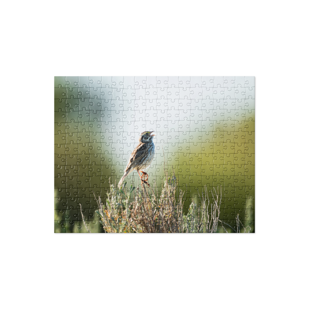 Song Sparrow Jigsaw puzzle