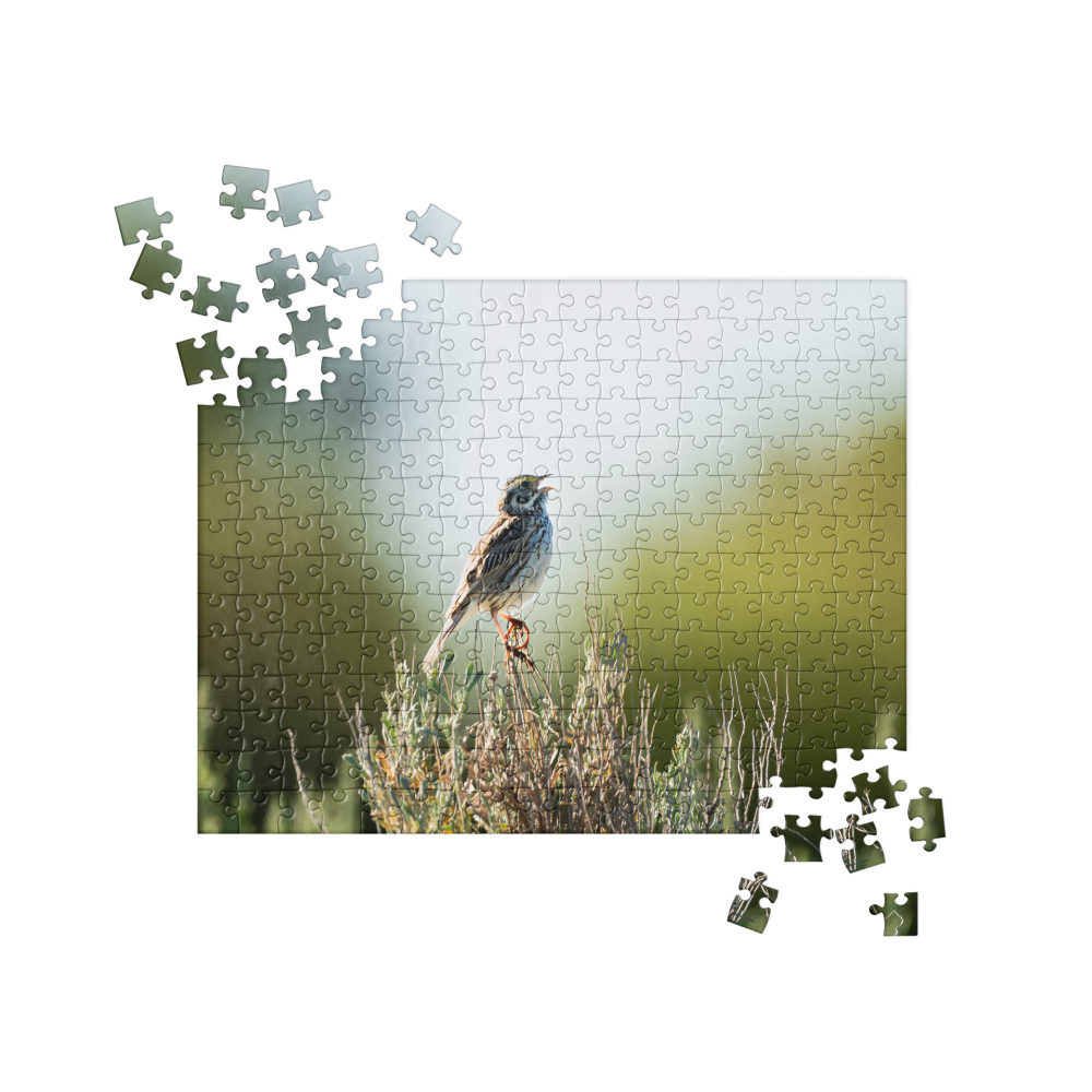 Song Sparrow Jigsaw puzzle