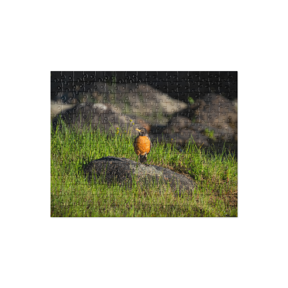 Robin Jigsaw puzzle