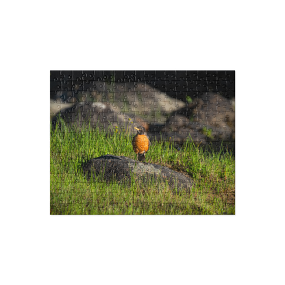 Robin Jigsaw puzzle