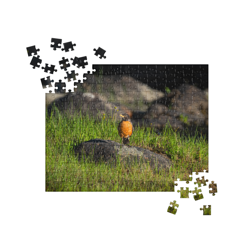 Robin Jigsaw puzzle