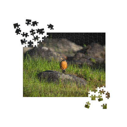 Robin Jigsaw puzzle