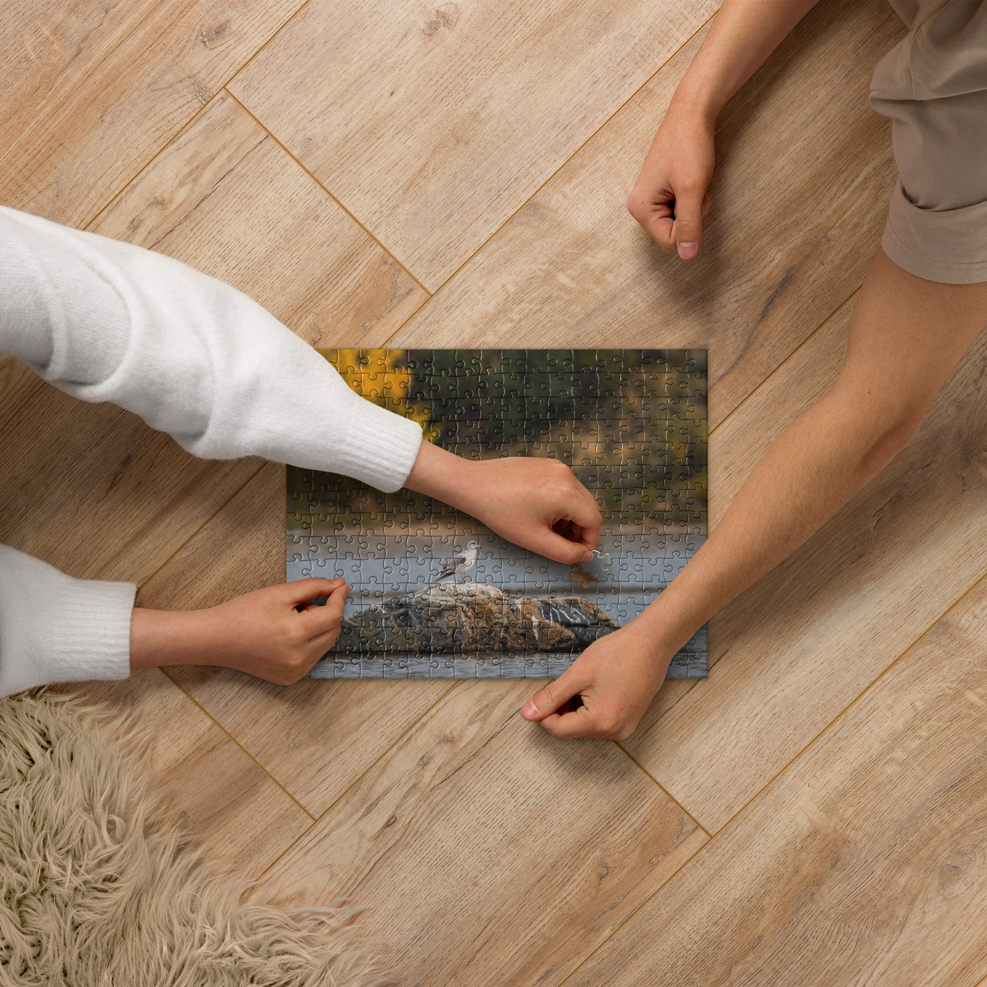 Ring Billed Gull Jigsaw puzzle