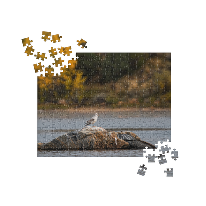 Ring Billed Gull Jigsaw puzzle