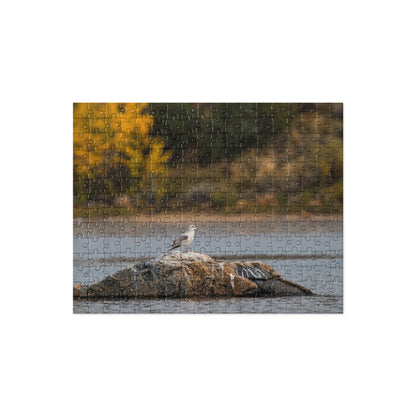 Ring Billed Gull Jigsaw puzzle