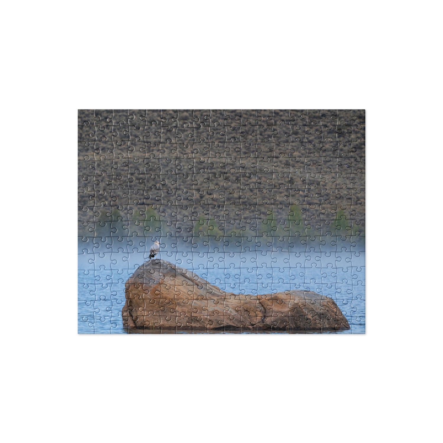 Ring Billed Gull Jigsaw puzzle