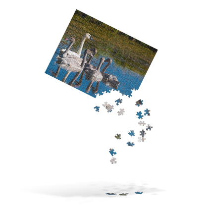 Swans Jigsaw puzzle