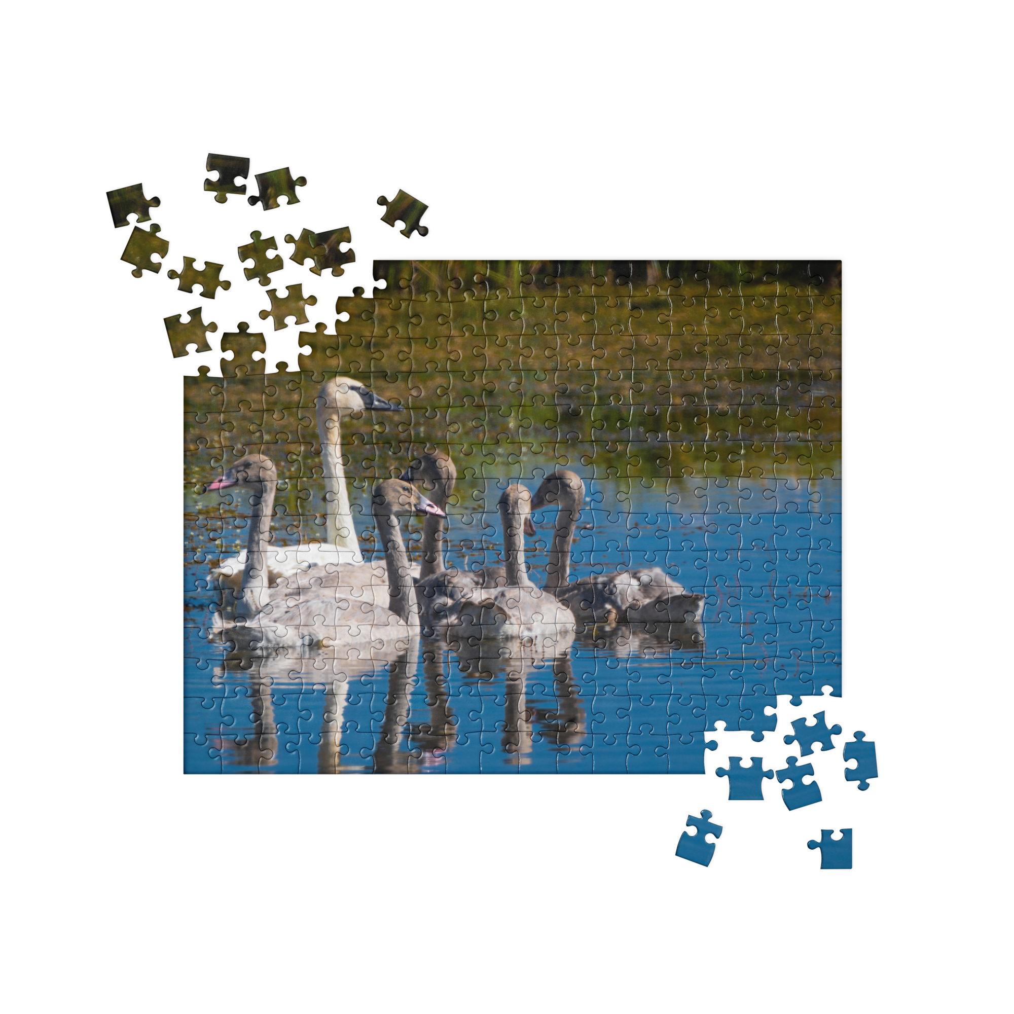 Swans Jigsaw puzzle