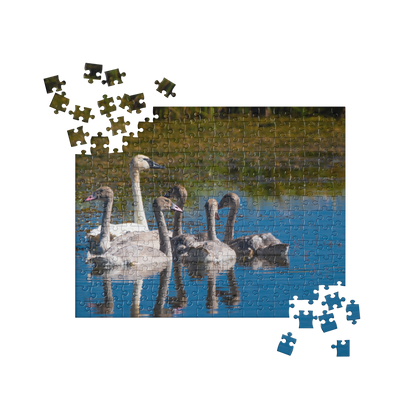 Swans Jigsaw puzzle