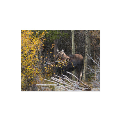 Moose Jigsaw puzzle