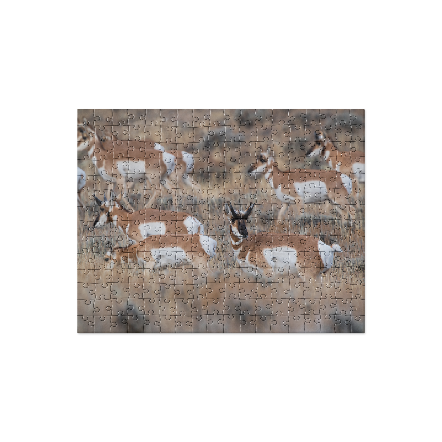 Pronghorn Puzzles: Piece Together Wyoming&