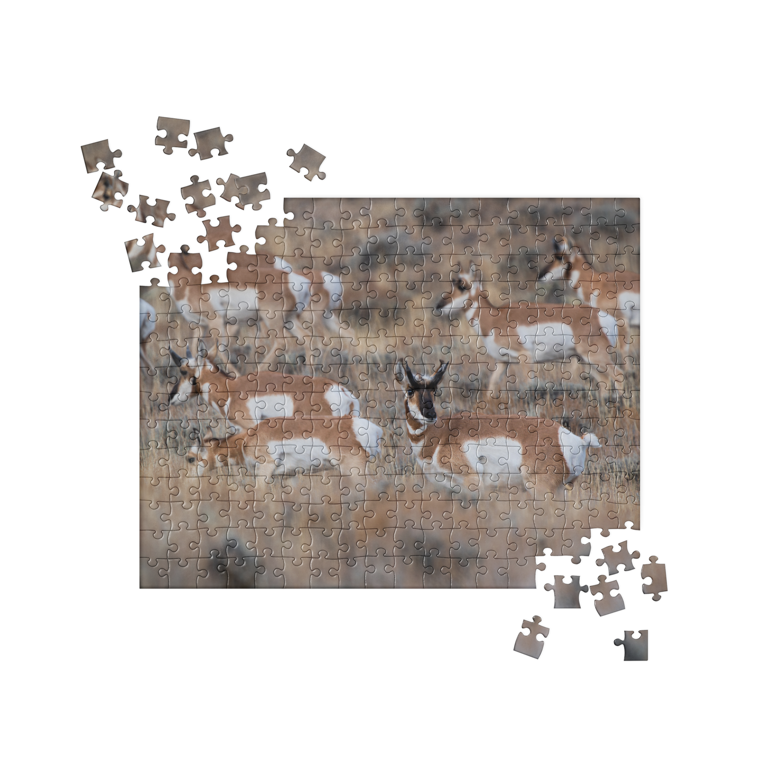 Pronghorn Puzzles: Piece Together Wyoming&