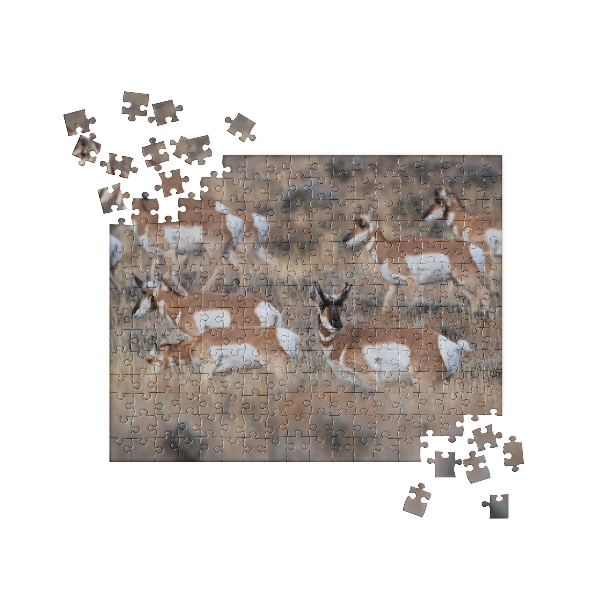 Pronghorn Puzzles: Piece Together Wyoming&