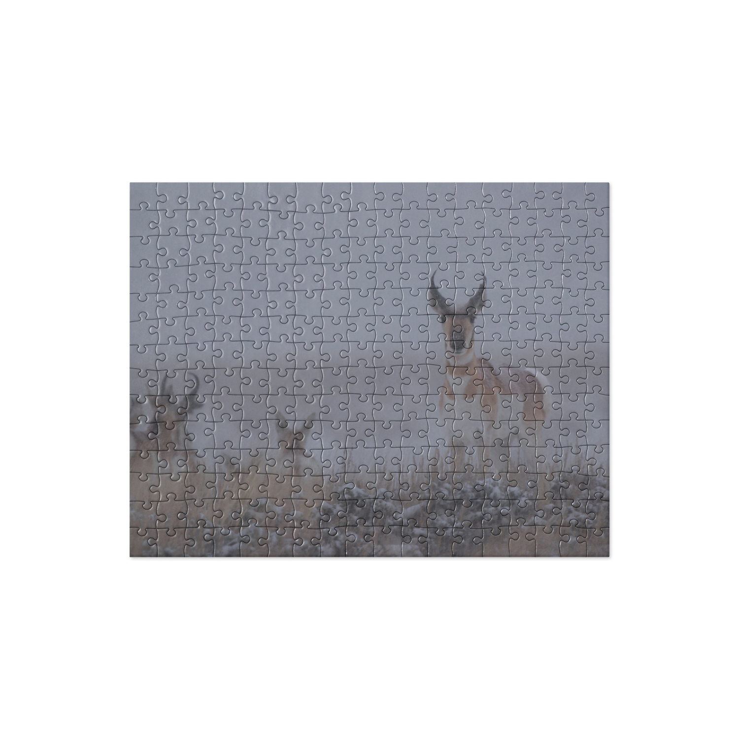 Pronghorn Puzzles: Piece Together Wyoming&