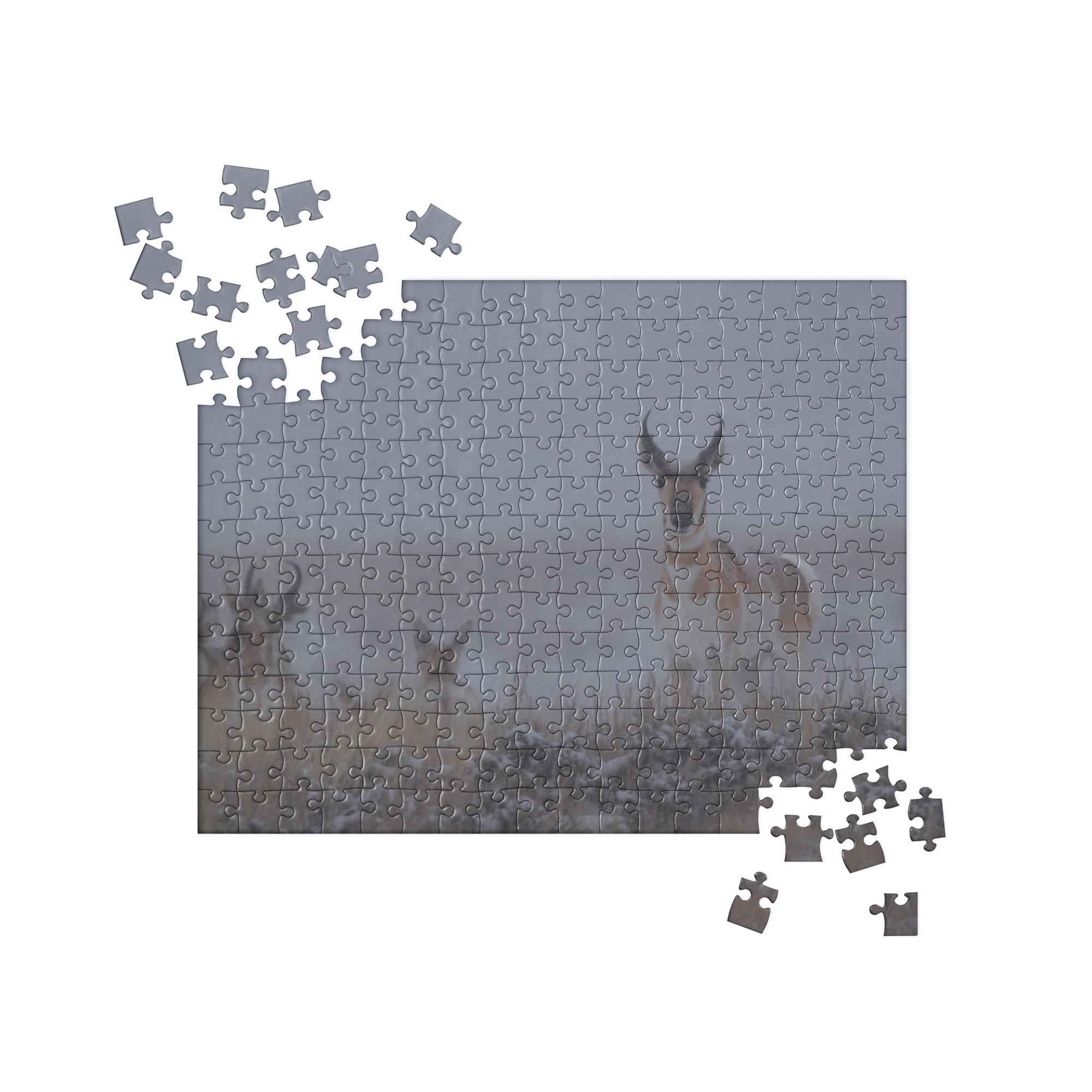 Pronghorn Puzzles: Piece Together Wyoming&