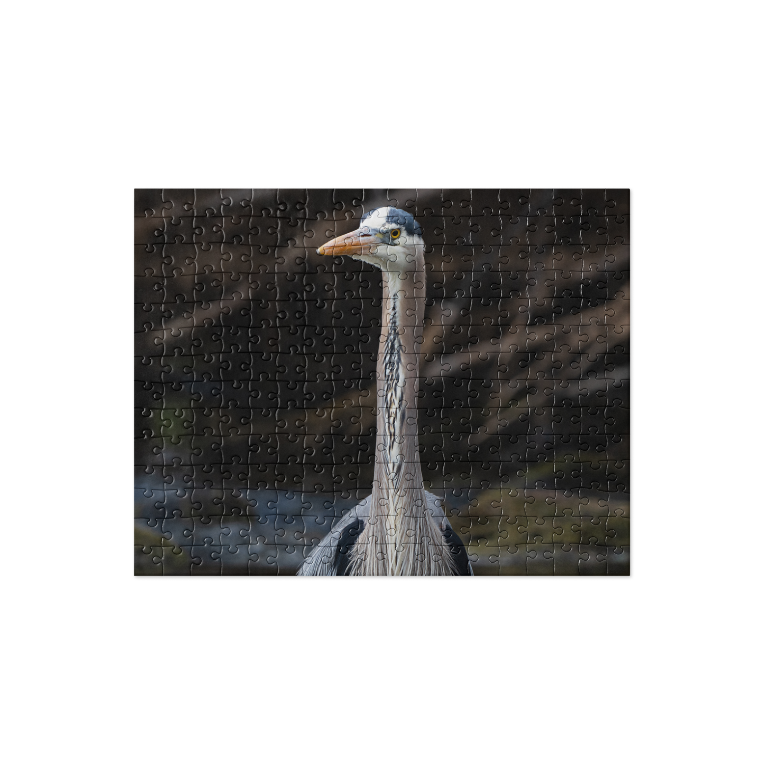 Blue Heron Jigsaw puzzle